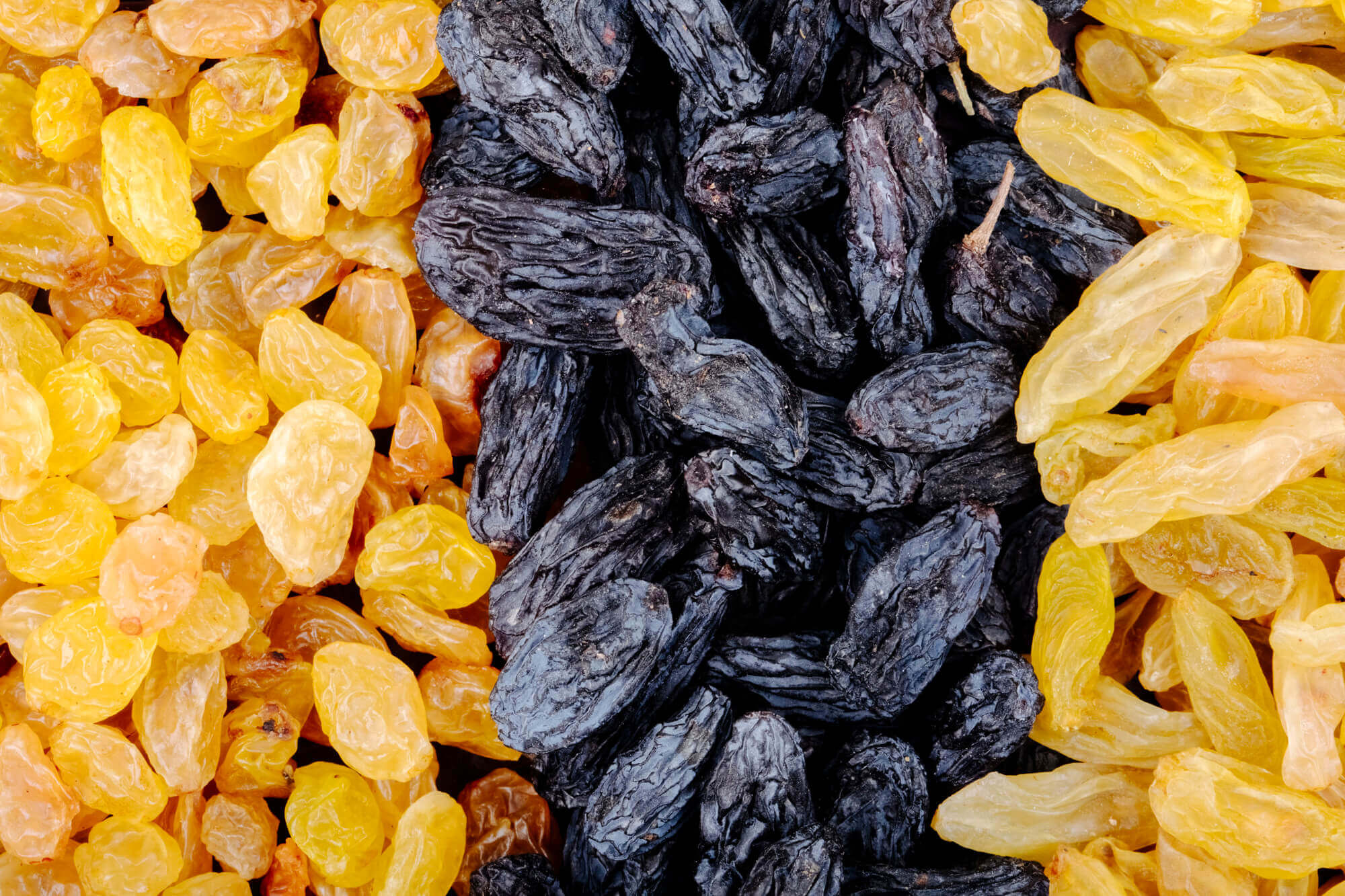 buy کشمش